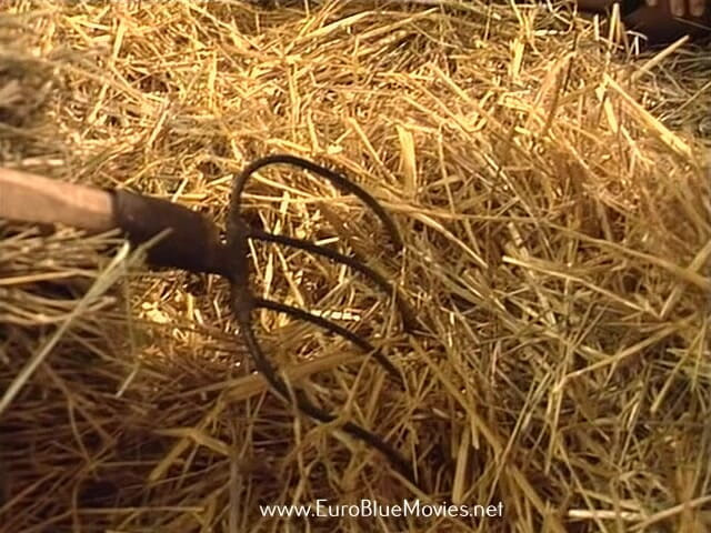 Euro Blue Movies: Cuore Di Pietra (1996)