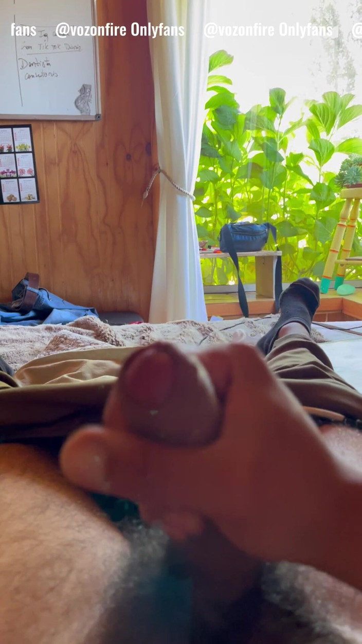 Hardnoisex: Koleksi domba Banyak susu