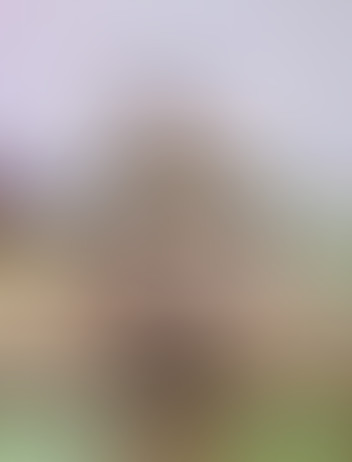 Locked due to age restriction