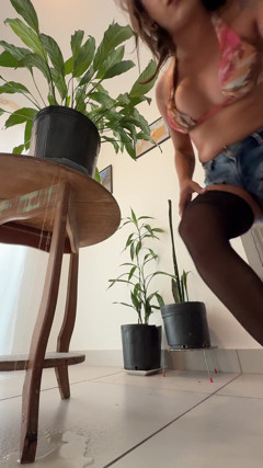 Compilation 12 - Peeing on the Flowers of a Poor Little Plant!! thumbnail