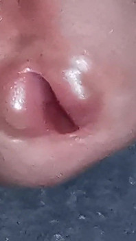 The Dick Growls at Its Owner