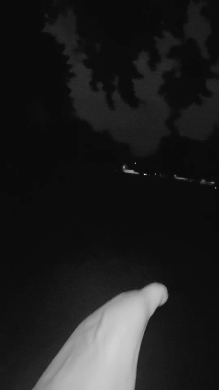 Iiwiii11BBC4trans: Im wald schwanz nehmen