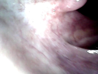 LizAngel: Put it in my mouth up to the balls