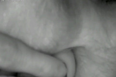 Maestrobater: Maestrobater1在他的菊花特写中享受振动蛋