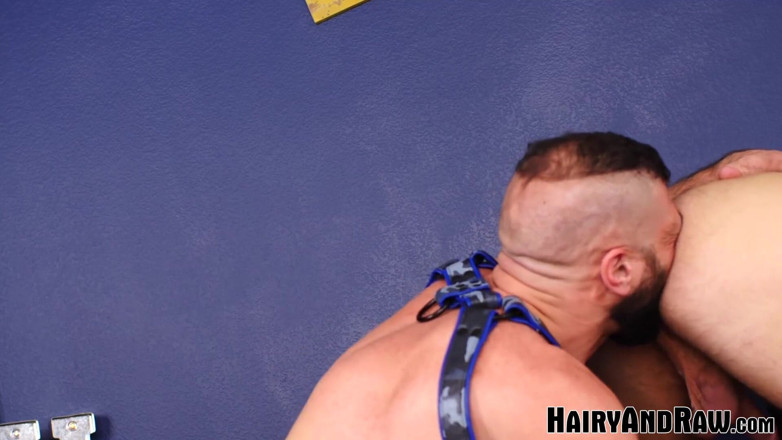 Hairy And Raw: HAIRYANDRAW Marco Napoli и Jake Morgan без презерватива и сперма