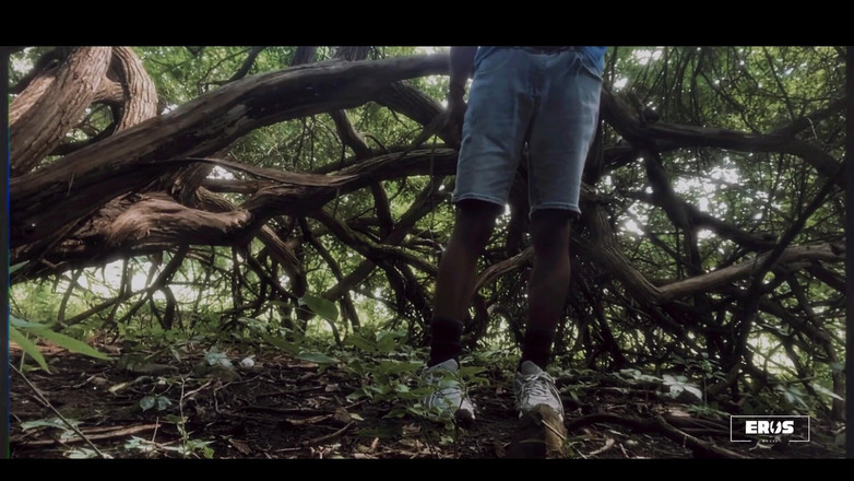 Boy Wonder: 3987809160.mp4