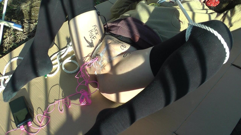 megu2002: 训练师88号 穿得像个倒着的青蛙