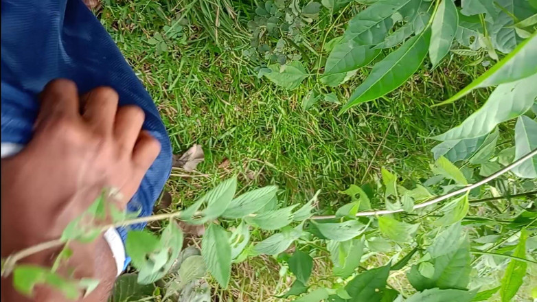 LinearOrnament35: Le sexe en vlog fait trembler le pénis plus long