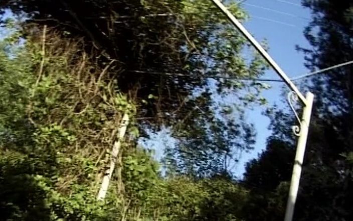 Videos Francaises: पूल में लंड की सवारी करती इस फ्रेंच बेब को देखें