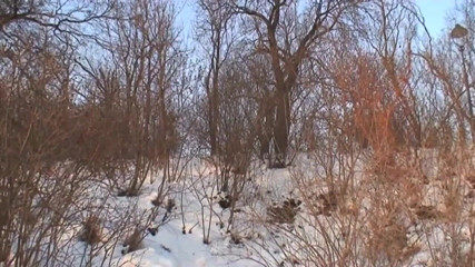 East Public: Exhibitionists have sex in the snow in front of passers-by...