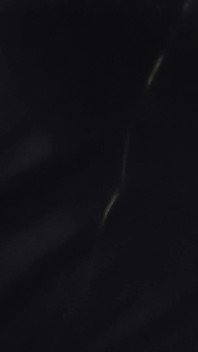 This Is Gateway Dick Right Here