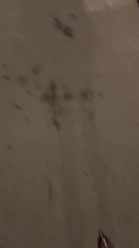 First Video in Paris, France