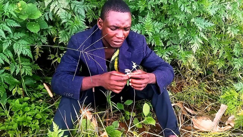 Judith xxx: In New Love