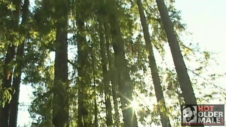 Pantheon men: Backwoods Bears: grup seks