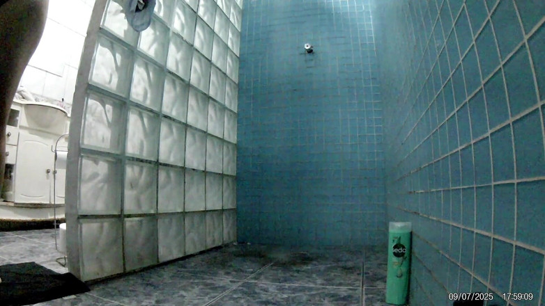 Lidi Ferrari: 汇编从华丽的lidi Ferrari