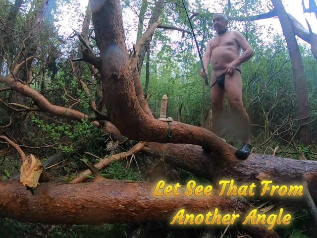 Andy: Perkara yang Anda Cari Di Dalam Hutan