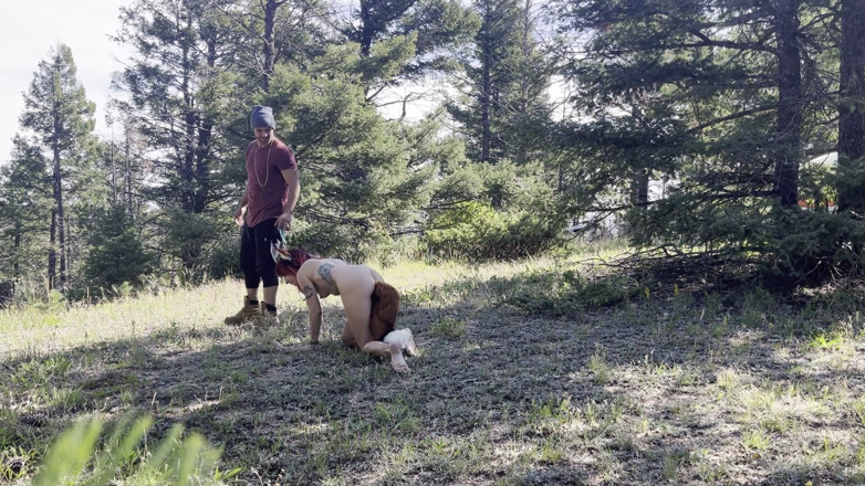 MYA Pleasure: 森の中のキツネ