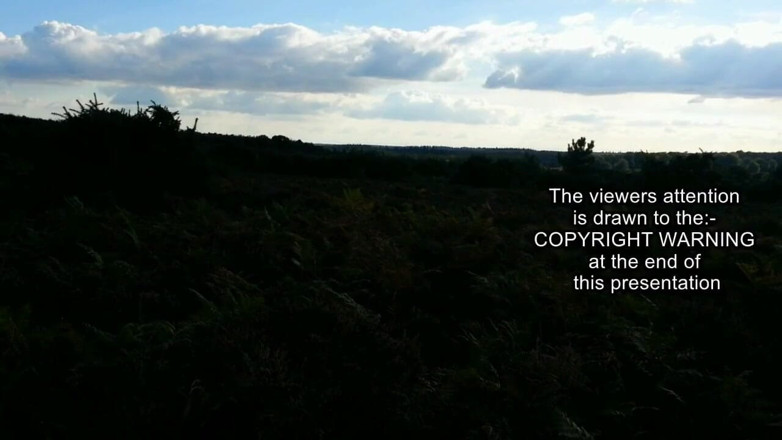 Movies by Louise: Dogging cam vol 2 - bunden