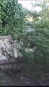 Giovani lesbiche si masturbano a vicenda e succhiono un grosso cazzo duro