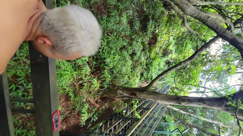 Calven: Livet låser upp vilda kanoner i bergen