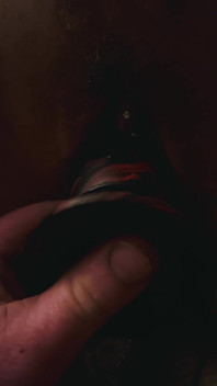 Paige Likes Creature Cocks