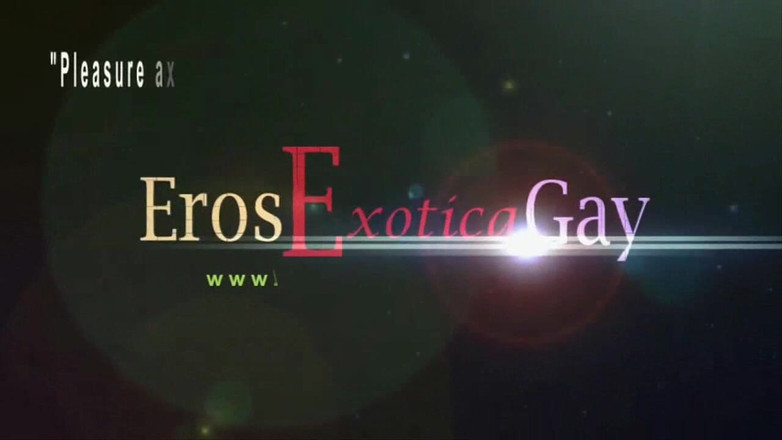 Eros Gay Exotica: 异国情调的色情同性恋：终极同性恋大师