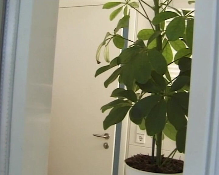 BB Video - Vintage Story: जर्मन शौकिया कमसिन बड़े प्राकृतिक स्तन काले बाल वाली की चुदाई #1