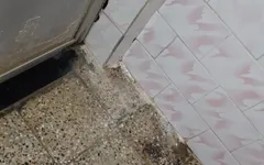 Mastrubation