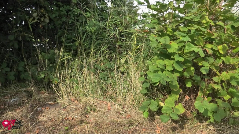 Miley Weasel: Wtf!! Fuckdate in the Middle of the Main Road!!