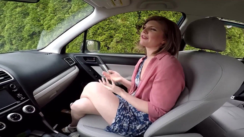 Housewife Ginger: En Alquiler de coche con compañero de trabajo