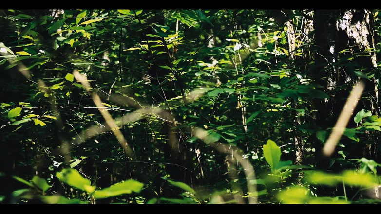 ElementX1018: 2901589826.mp4