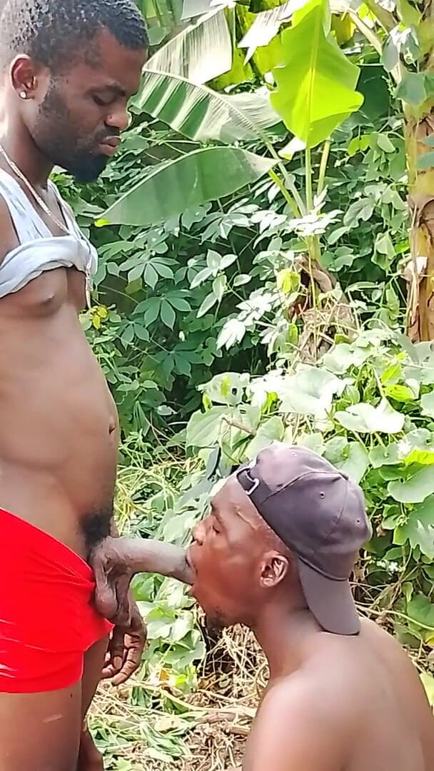 Big Cock Sucker (Africans men) Big Cock Sucker (Africans men)