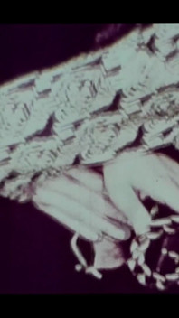 Retro porno retro erotické divadlo, moje rodné město