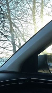 Erking off in the Car and Cumming - Uncut Cock