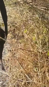 Il Ragazzo Ha Seguito Il Suo Amico Etero Che È Andato a Pisciare