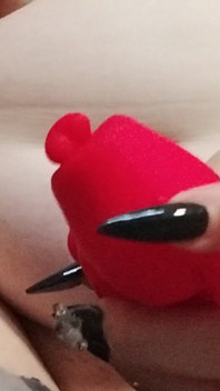 Do You Want to See Me Play with This Toy?