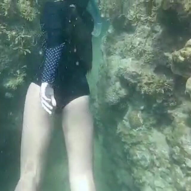 creamberryfairy: Ima sirena