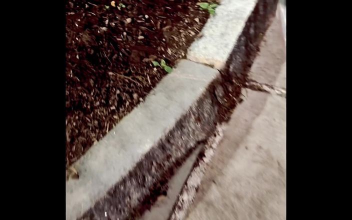 CityFemalePissMarker: Nighttime Stroli Then I Had to Pee so Bad and...