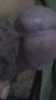 Linda polla negra