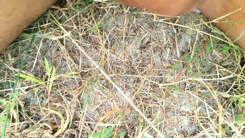 AnR: Video thủ dâm con cu lỗi thủ dâm trong rừng...