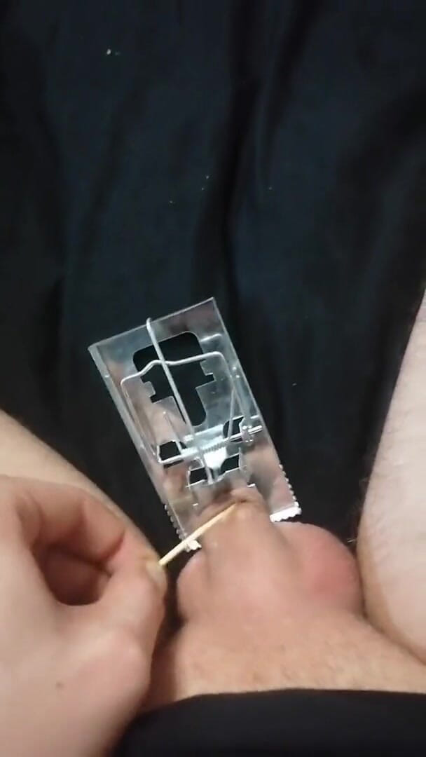 Adashah: Micropene y una trampa para ratones. Duele y cambió de...