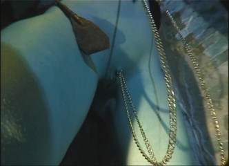 Absolute BDSM films - The original: BDSM-gevangene - scène #02