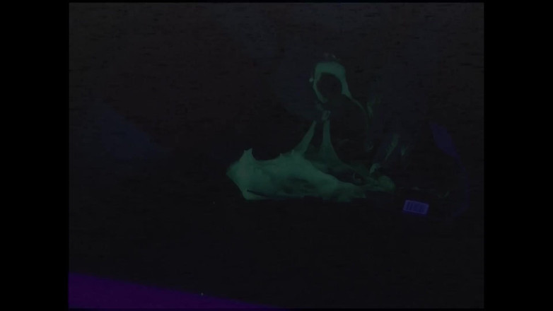 Roxxie rae page: Slimegirl