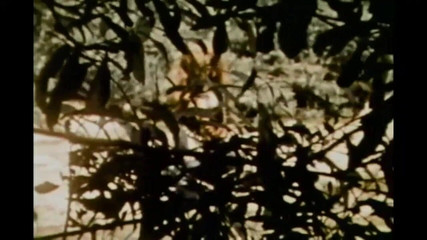 Vintage megastore: Pro opravdové milovníky vintage zrzek s pihami (celý film)