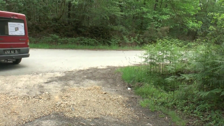 My Favorite Pornstars: Gestrandete heiße mutter mit großen hupen wird im wald in...