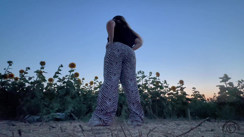 Your fantasy studio: Sunshine Fart Queen - Campo das Flores do Fedor