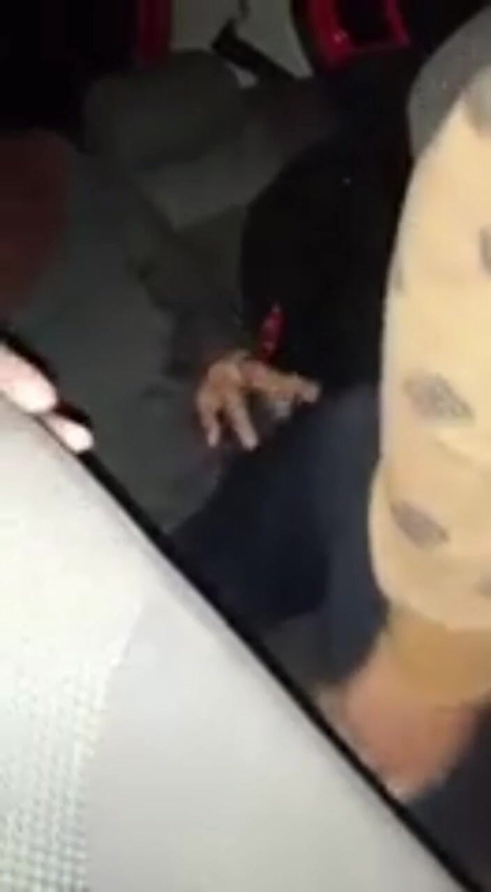 Mangacaribe: First Doggind with Taxi Driver in Front of Husband