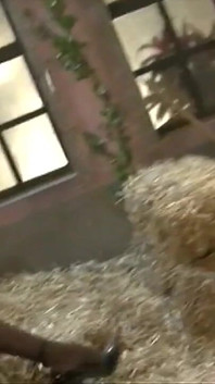 Dwa przewrotne filmy z gorącymi napalonym kobietami zawsze gotowymi do seksu jak dziwki Vol 4