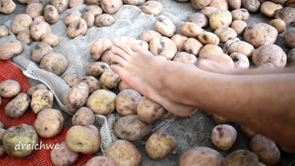 Dreichwe: Toccando deliziose patate con i piedi