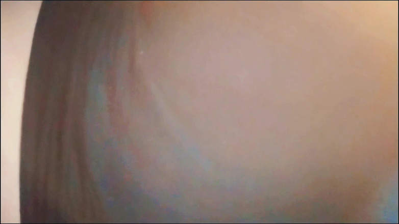 Lily & Theo: 이웃의 마누라 따먹기